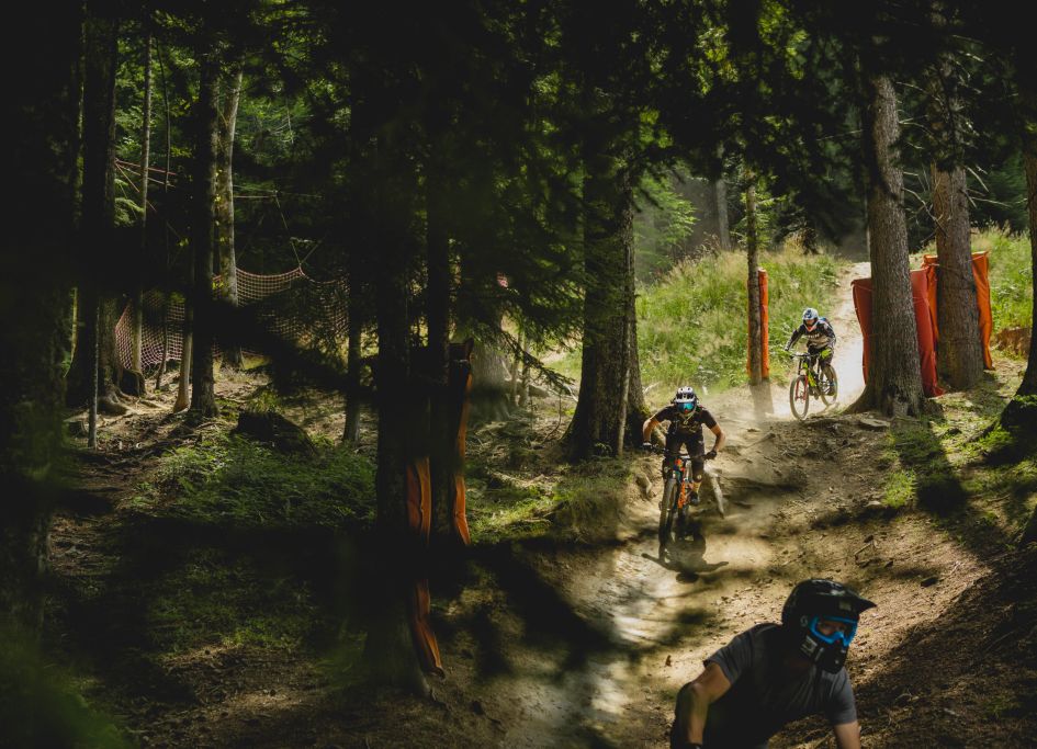 Mountain bikers riding down a shaded mountain bike trail in the forest.