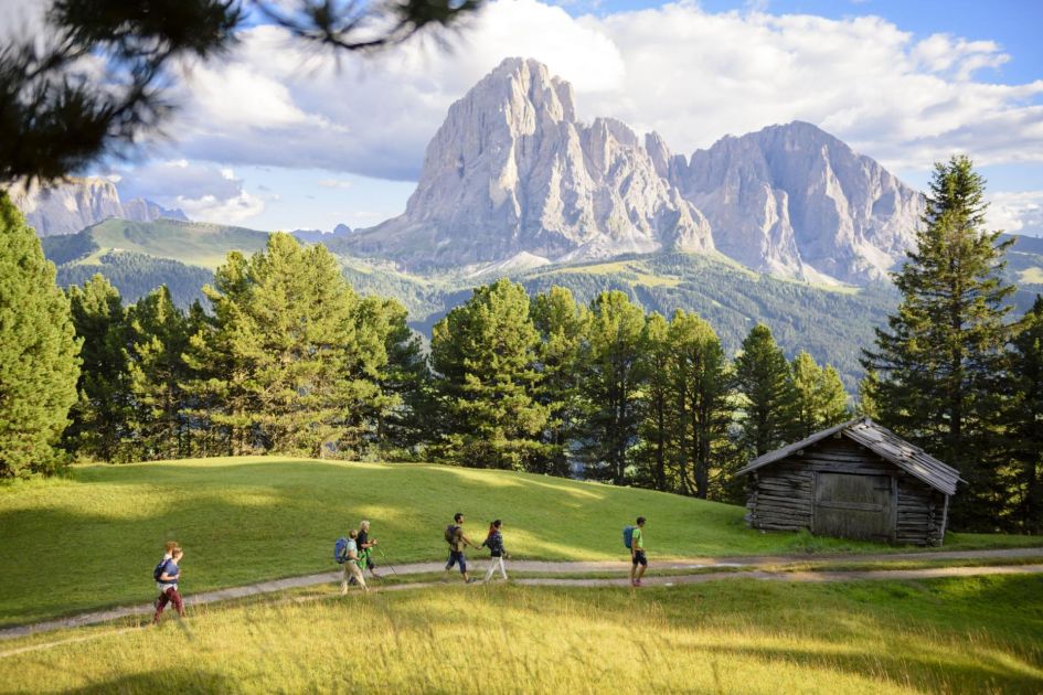 The Sellaronda Hike Tour attracts visitors from all over the globe, to experience luxury walking holidays in Europe. This picture shows a group of hikers walking along a tree-lined trail, with forests and the imposing Sella massif standing tall in the background.