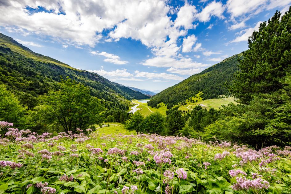 Meribel in summer with green mountain landscapes and blue skies, a perfect summer chalet holiday setting for 2025.