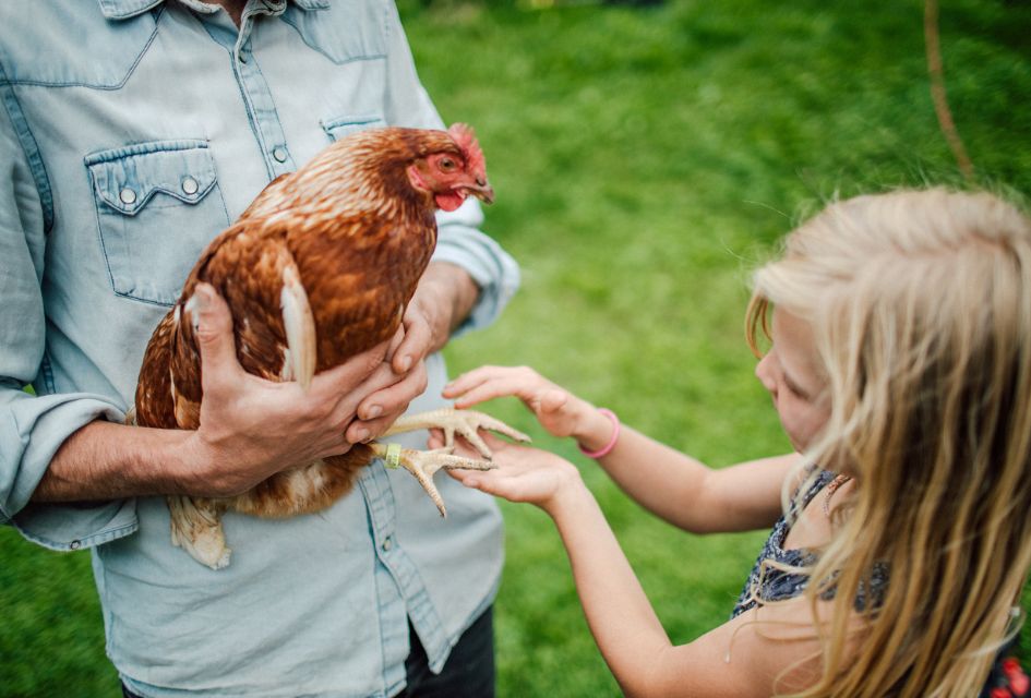 A young girl looks at a chicken in the arms of a man.